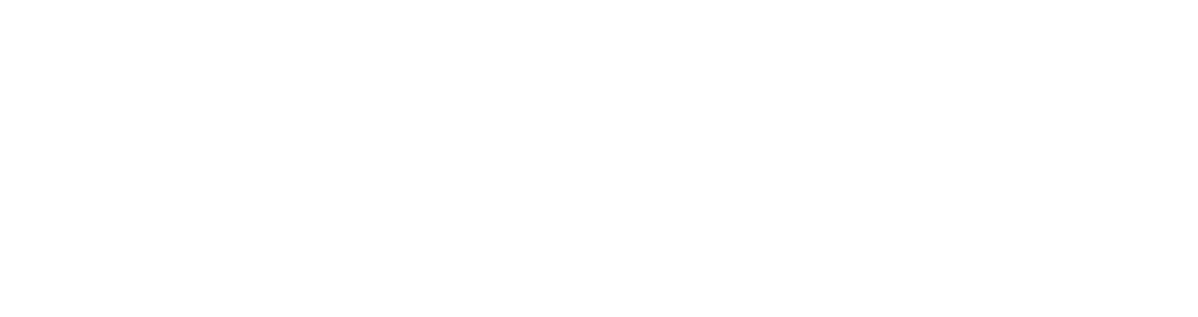 Vorarlbergerfamilienverband Logo Weiss Rgb