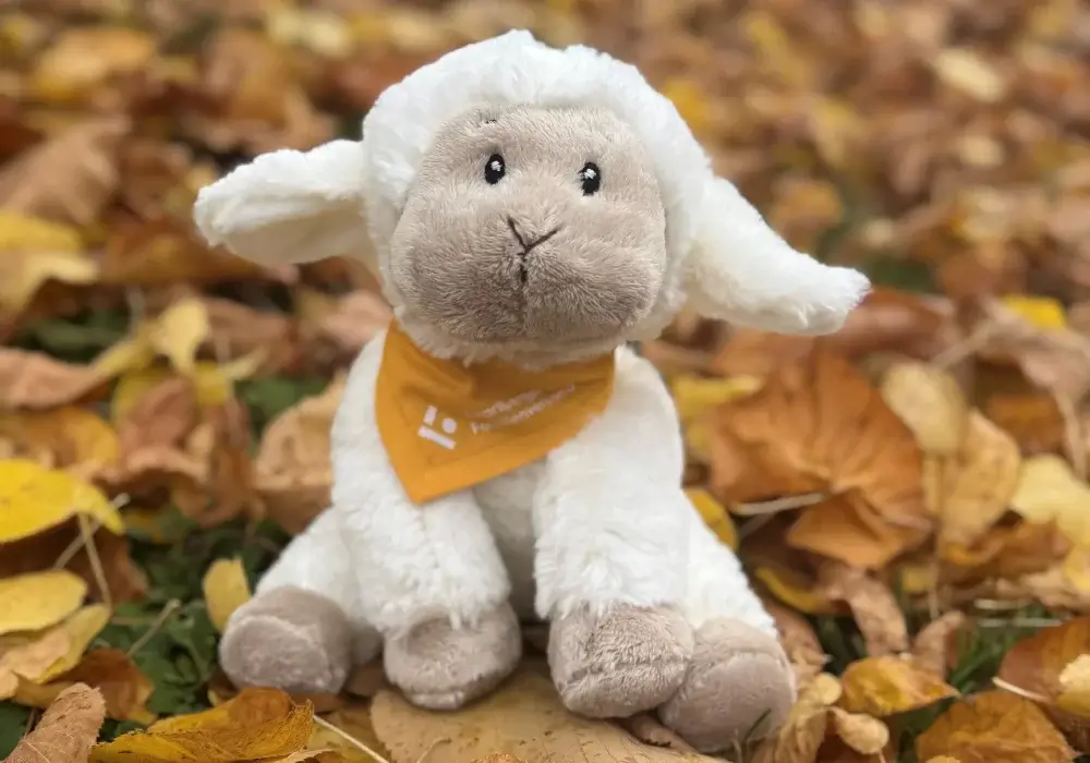 Schaf Lotti sitzt im Laub